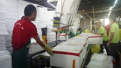 日配超70噸，九江魚興港以預制菜解鎖魚的百變吃法